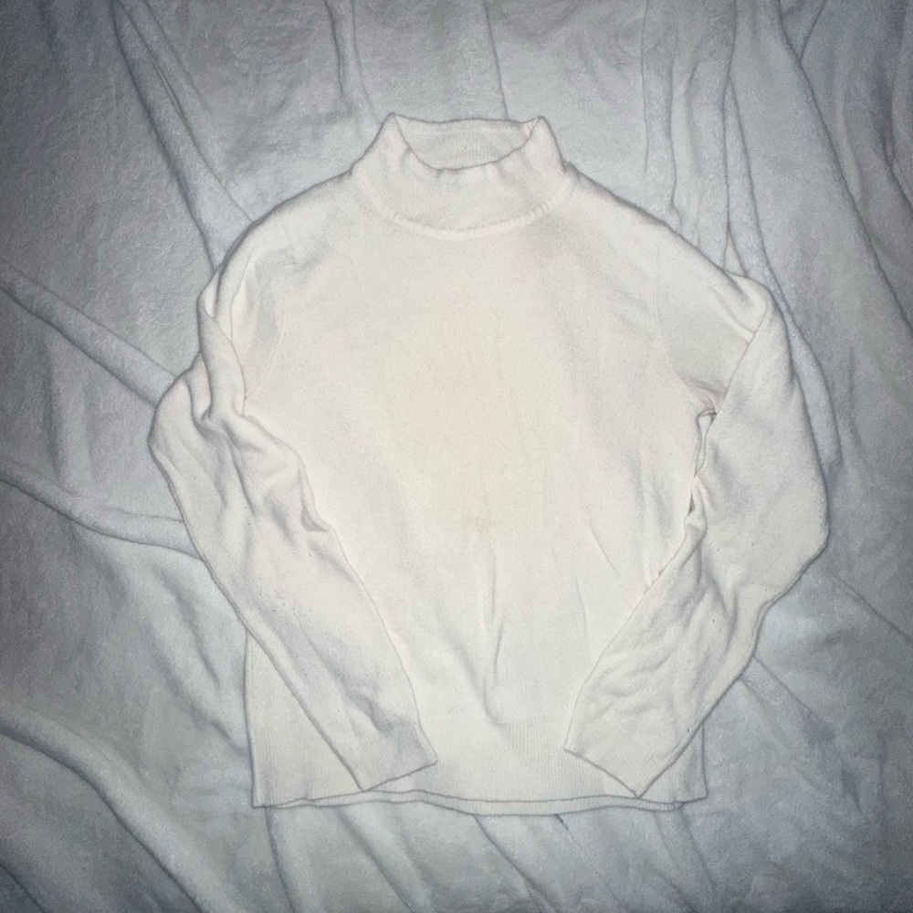 napa valley super soft turtle neck sweater